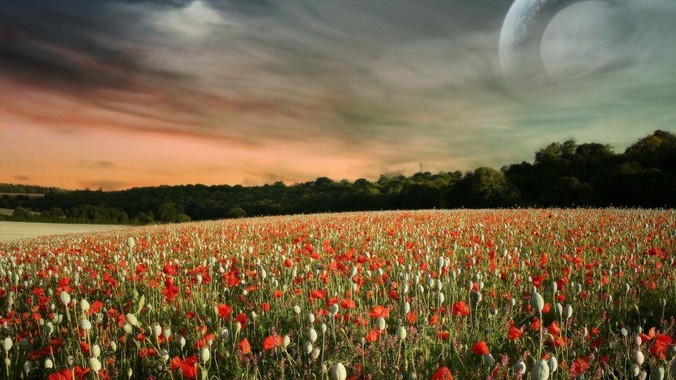 《诛仙》中有哪些捧腹大笑的剧情？